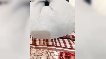 The little girl was made to cry! Super exciting~ [Orange] Sex without a condom~ Taking turns to fuck wildly! ! ✨✨✨--Already an adult, and was ravaged in various ways, one of which was done without a condom~-467